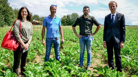 « La betterave bio est payée 80 €/t avec une prime de 200 €/ha et un objectif de rendement de 50 t/ha », précise Laura Loffler, responsable du développement des activités bio de Tereos aux côtés de Xavier Dupuis (chemise marron) et de deux agriculteurs. © TEREOS